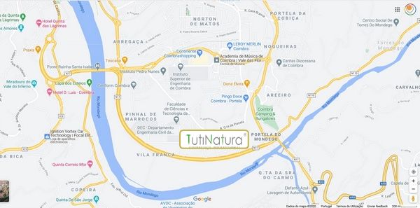  Banner Tutinatura Mapa Coimbra Boton D 